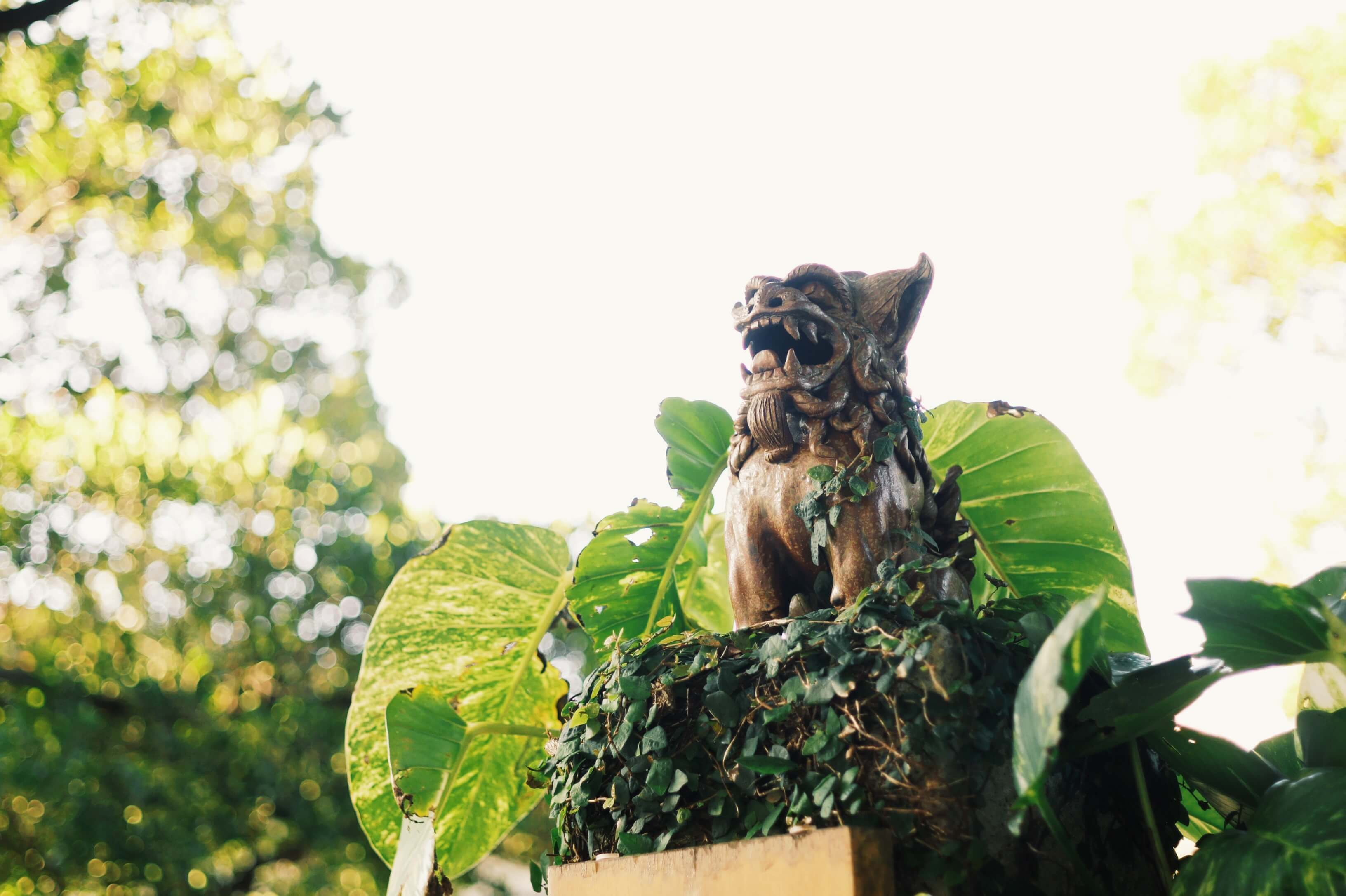 シーサーの画像